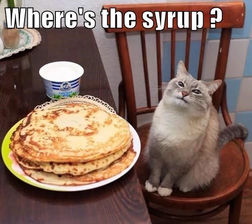 meme of a cat asking for syrup for his pancakes