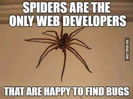 funny pic of a spider