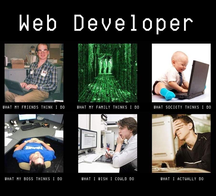 funny pic of a web developer